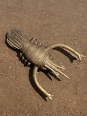 A Crayfish: Dhokra Handicraft by Kunal Rana