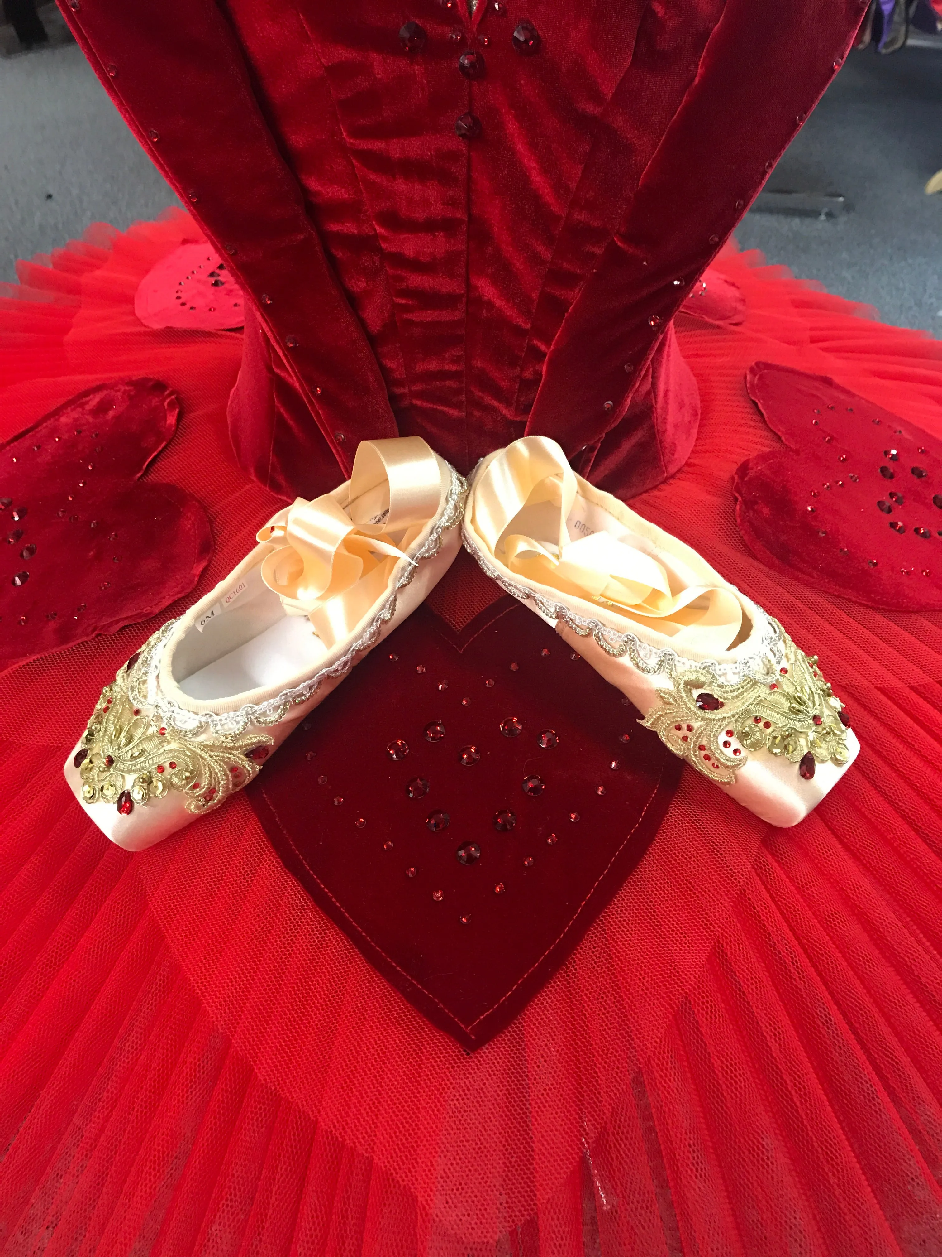 Decorated pointe shoes - Gamzatti