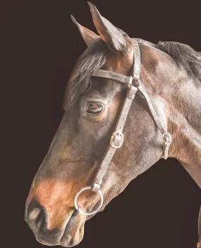 Drovers Saddlery Made Barcoo Bridle