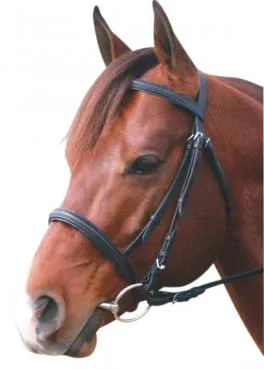 Eureka Snaffle Bridle